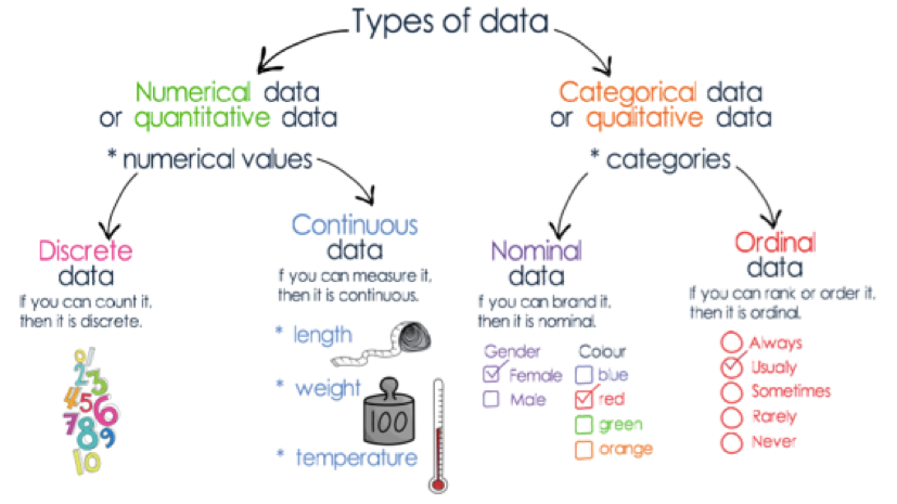 types of data statistics